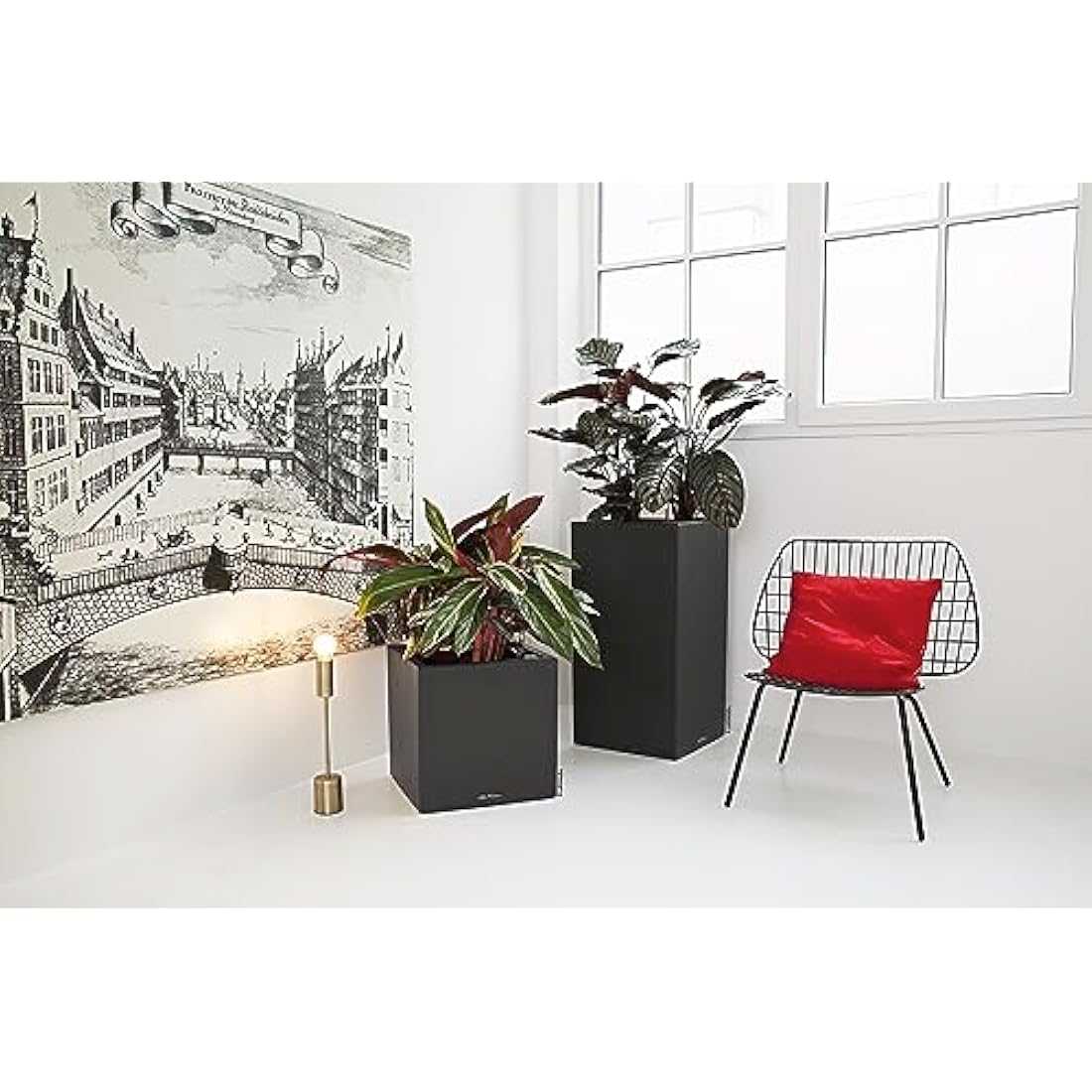 Lechuza Self Watering Plant Pot CANTO Stone 40 High Large Plastic Indoor and Outdoor Plant Pot with Drainage Hole H70 L40 W40 cm Graphite Black