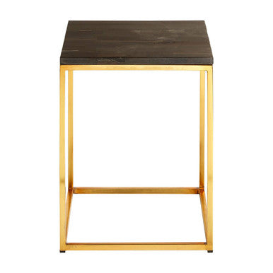 Relic Dark Petrified Wood Square Side Table