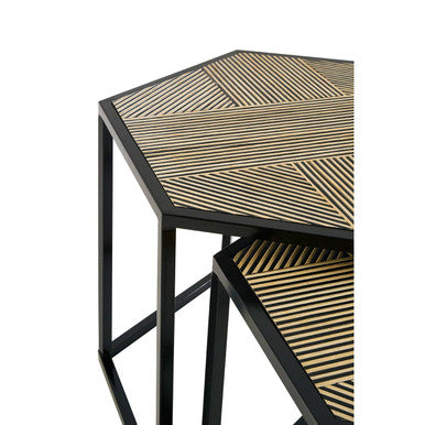 Babita Set Of 2 Hexagon Side Tables