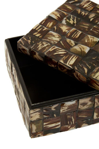 Branna Large Natural Shell Detail Box