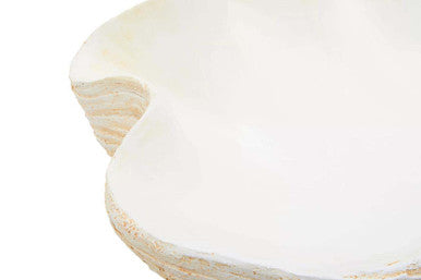 Byron Large Clam Shell Bowl