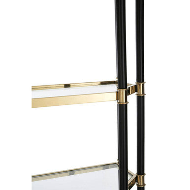 Allessi 5 Shelf Unit In Champagne Finish and Black Frame