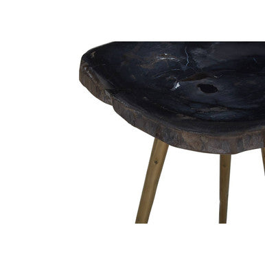 Relic  Petrified Wood Top and Brass Finish Legs Side Table