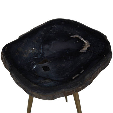 Relic  Petrified Wood Top and Brass Finish Legs Side Table