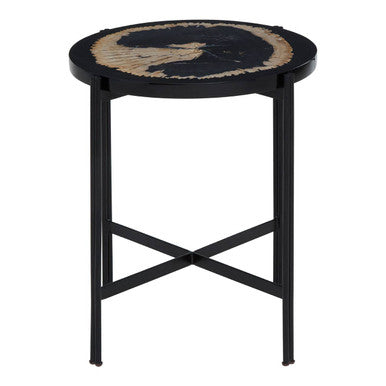 Relic Petrified Wood and Resin Side Table