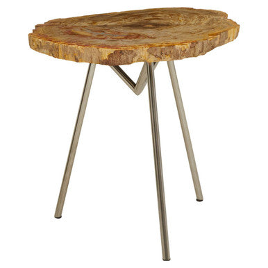 Relic Large Petrified Wood Side Table