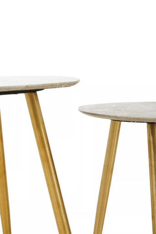 Cadio Set Of Two Shagreen Tables