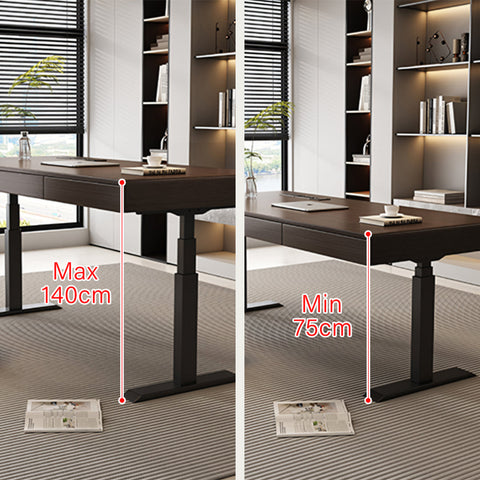 Moreno Electric Standing Office Desk With Storage, Solid Wood