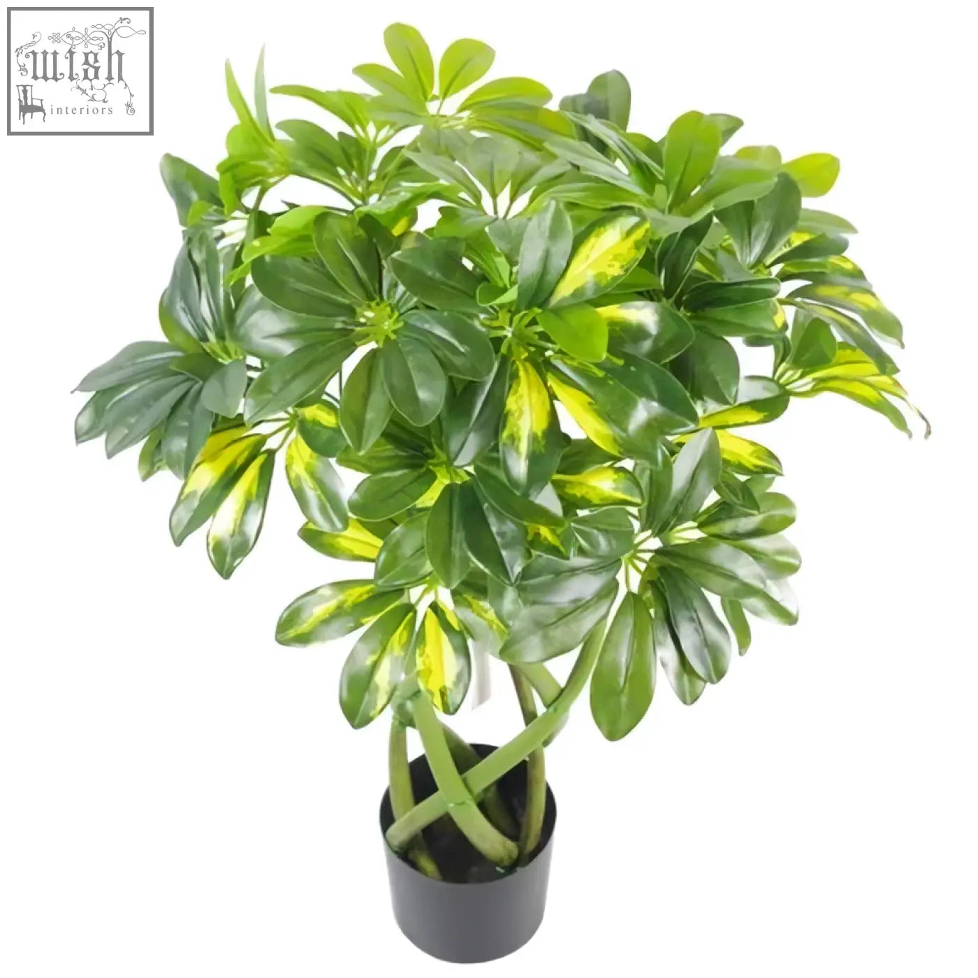Lush 70cm golden capella artificial plant bonsai bush with glossy yellow variegated schefflera leaves and wired stems in black pot