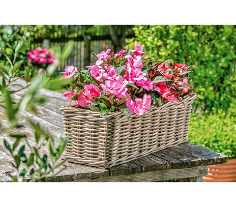 Dehner Plant Pot, Rattan, Grey/Brown, 40 x 23 x 20 cm