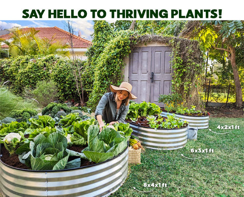 Galvanized Metal Raised Garden Bed for Outdoor Gardening 4?2?1 ft // Easy-to-Assemble Garden Bed Kit for Vegetables and Plants // Sturdy Steel Raised