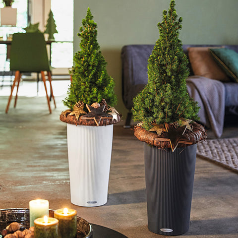 Lechuza CILINDRO Color 23 Self Watering Planter Garden Plastic Indoor and Outdoor Flower Plant Pot with Drainage Hole D23 H41 cm Slate