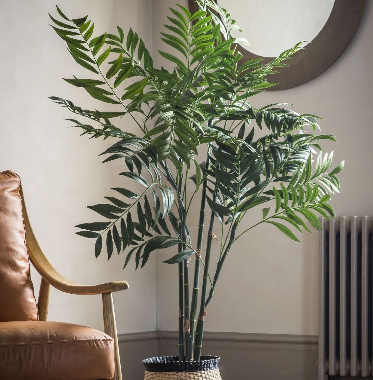 Areca Palm Tree 150cm