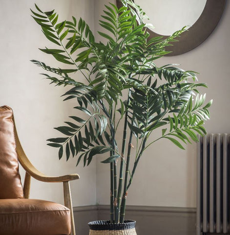 Areca Palm Tree 150cm