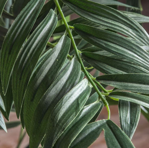 Areca Palm Tree 150cm