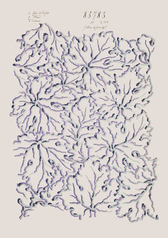 No.099 - Ethereal Leaves - Vintage Archive Poster Prints