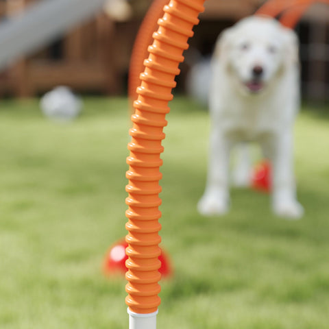 PawHut 4 Piece Dog Agility Training Equipment with 4 Adjustable Width Doors, Carry Bag, for Garden, Orange