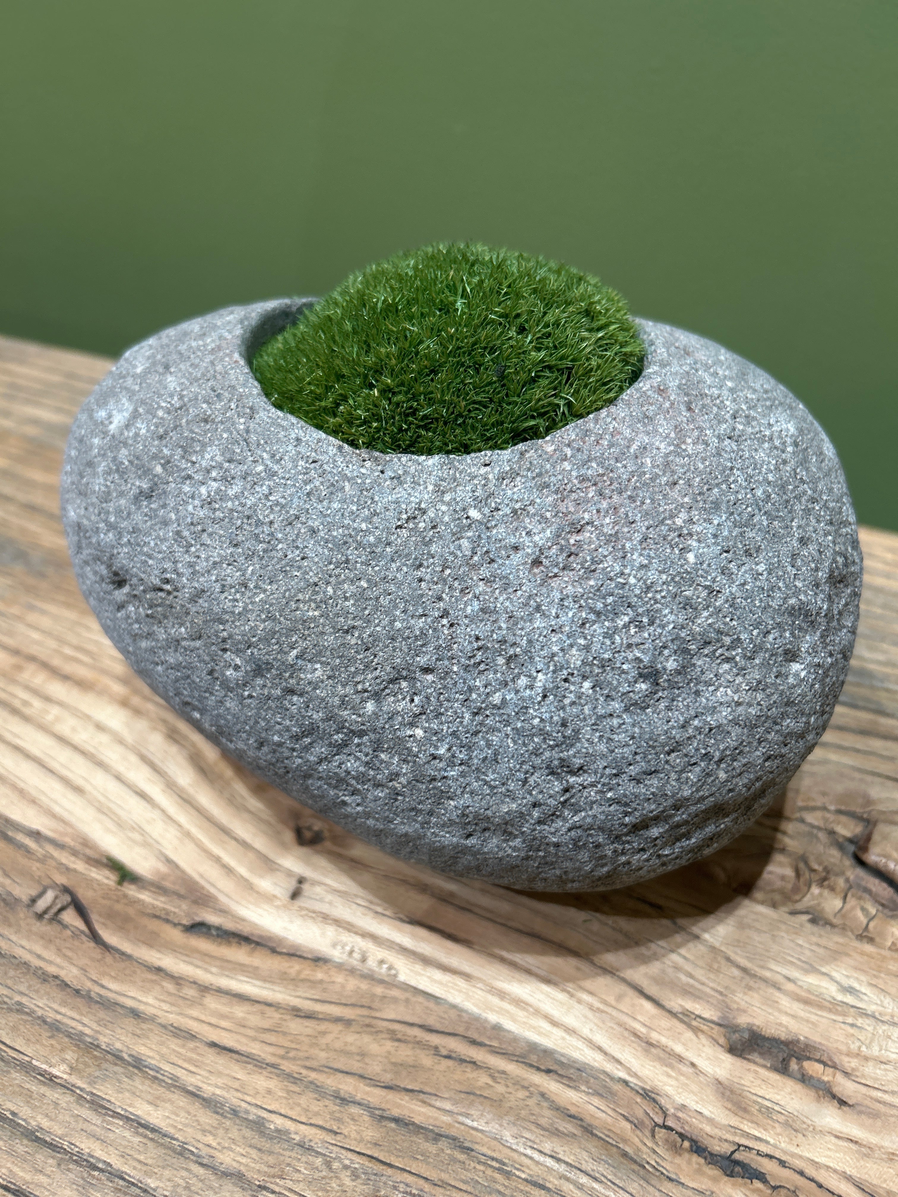 Indo Riverstone planted with Preserved Moss FR69
