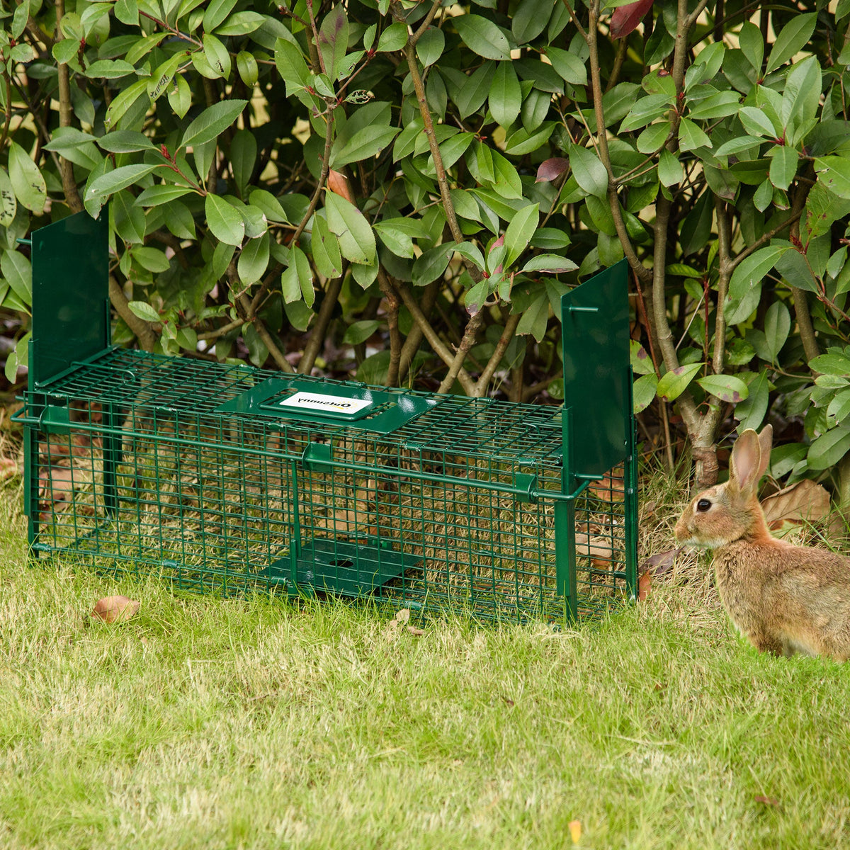 Outsunny Animal Trap Cage, Humane Rat Trap with Double Doors, Squirrel Trap for Indoors & Outdoors, Catch and Release Mice, Rats, Rodents, 60 x 18 x 20 cm, Green