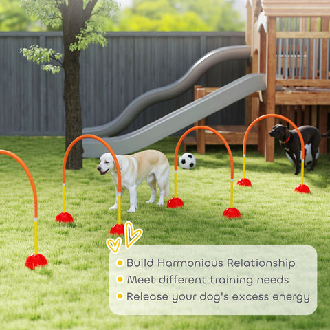 PawHut 4 Piece Dog Agility Training Equipment with 4 Adjustable Width Doors, Carry Bag, for Garden, Orange