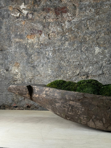Mokoro Canoe with Preserved Moss Table Display FR63