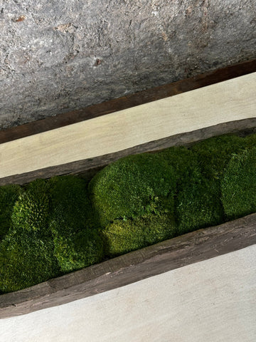 Mokoro Canoe with Preserved Moss Table Display FR56
