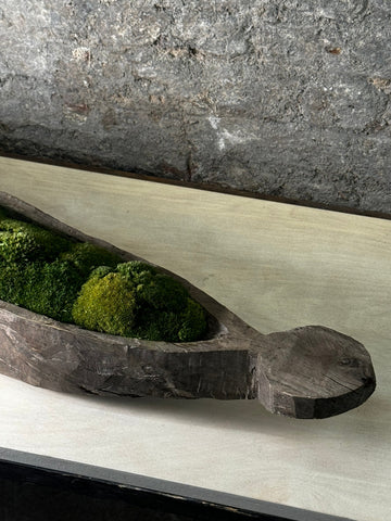 Mokoro Canoe with Preserved Moss Table Display FR63