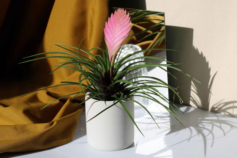 CONCRETE TOOTHBRUSH HOLDER