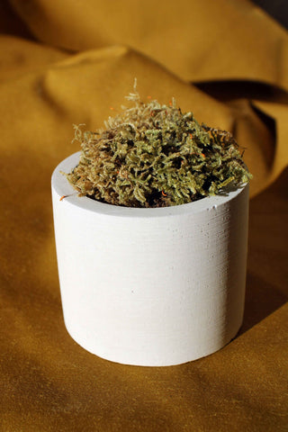 CONCRETE CYLINDER TEALIGHT HOLDER, CONCRETE CYLINDER POT