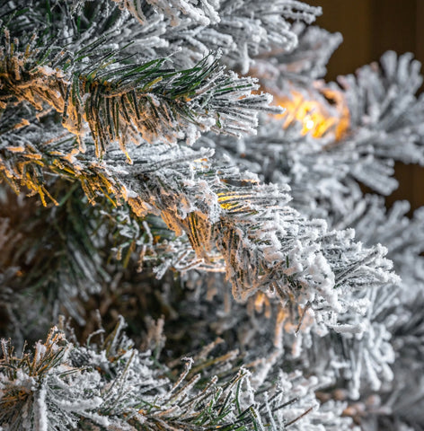 Christmas Tree Flocked Woodland Pine - LED - 6 ft