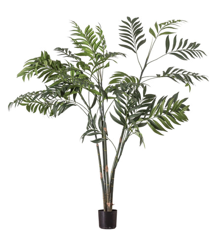 Areca Palm Tree 91cm