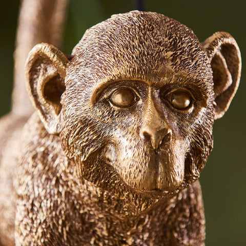 Capuchin Table Lamp