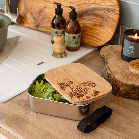 Tawny Owl Lunch Box