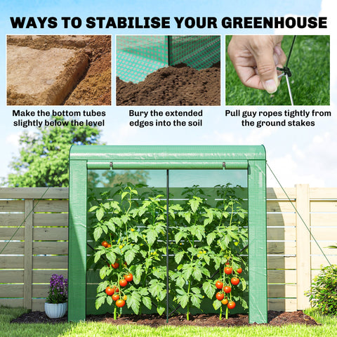 Outsunny Mini Greenhouse, Garden Tomato Growhouse with Roll-Up Door and 2 Mesh Windows, PE Cover, 200 x 75 x 188 cm, Green
