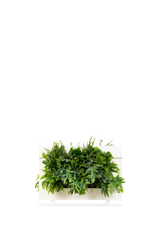 Living Wall Divider - 81cm - White