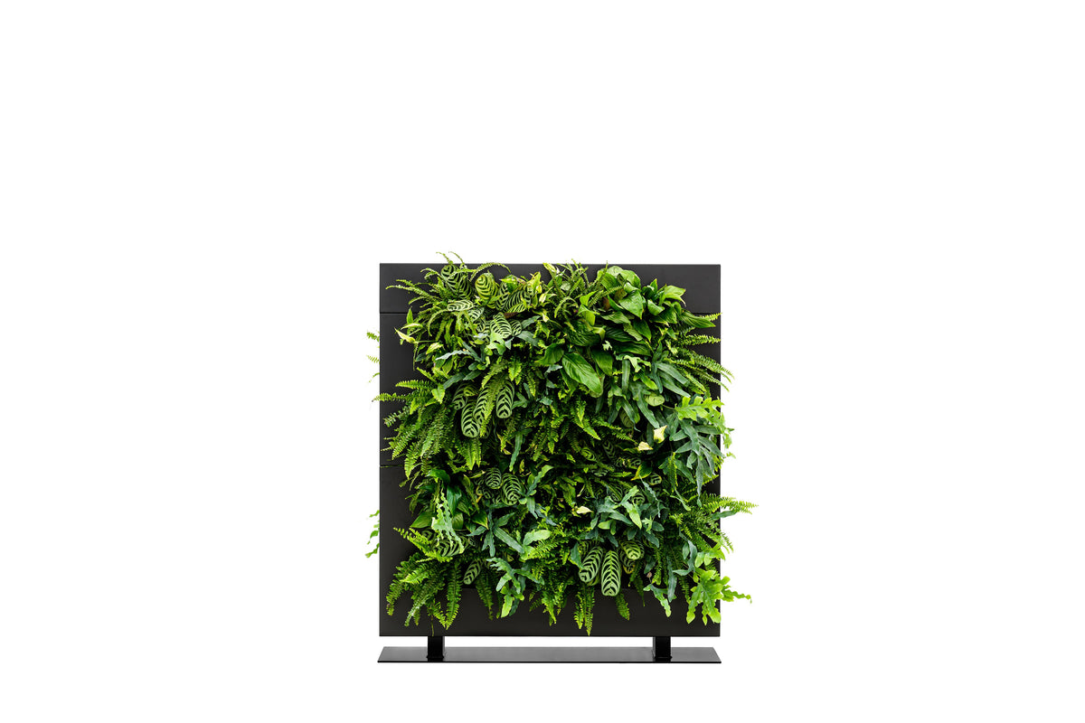 Living Wall Divider - 131cm - Black
