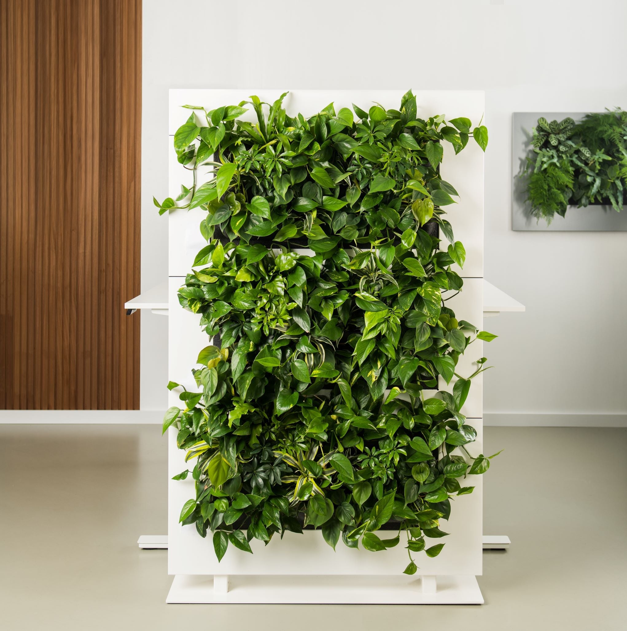 Living Wall Divider - 81cm - White