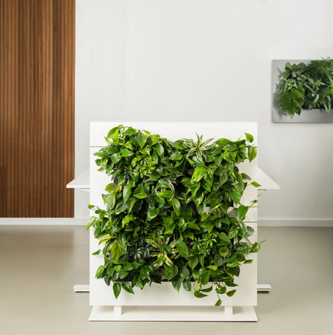Living Wall Divider - 81cm - White