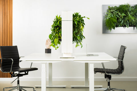 Living Wall Divider - 81cm - White