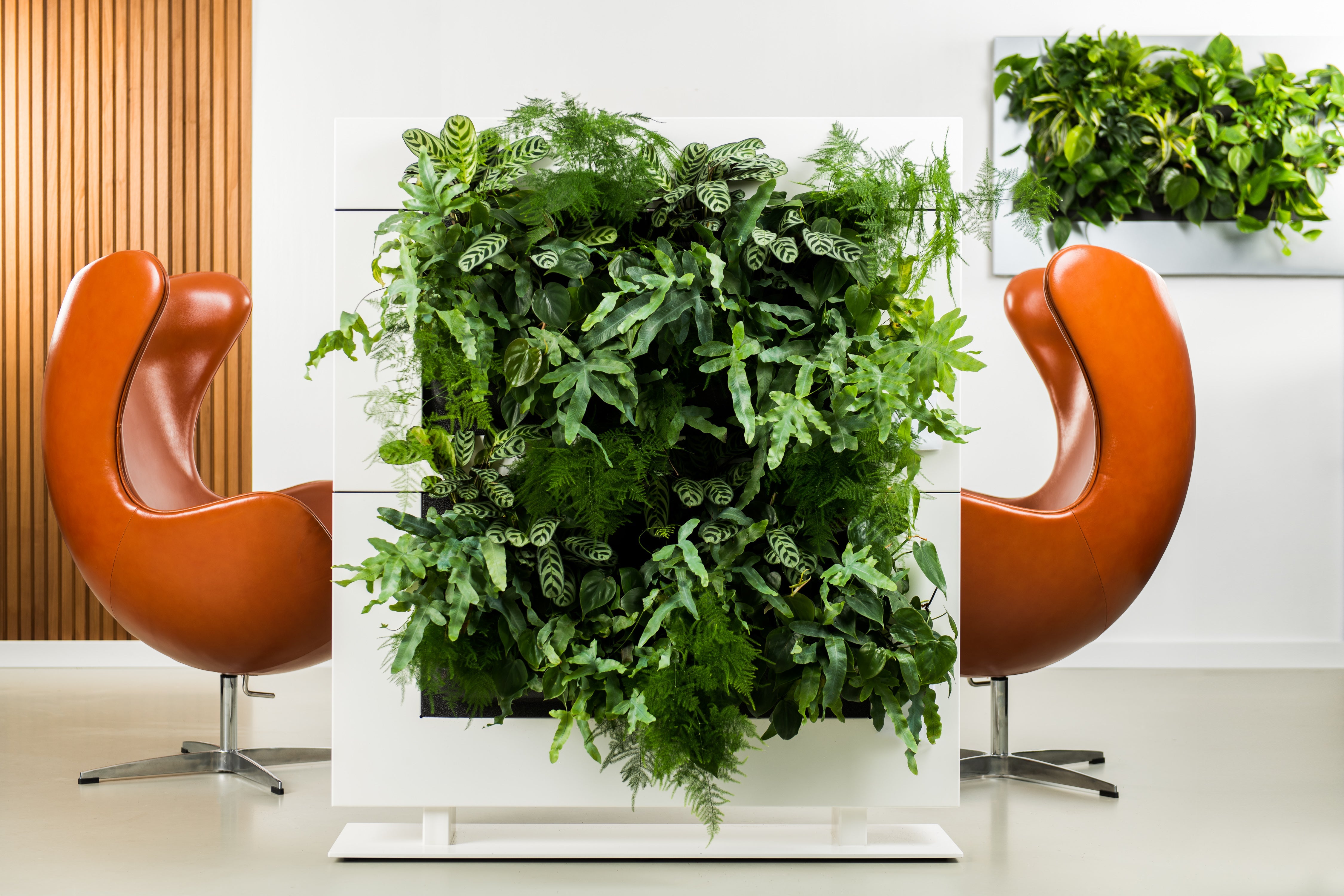 Living Wall Divider - 180.5cm - White