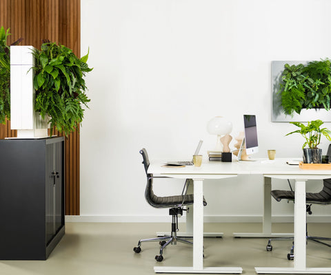 Living Wall Divider - 81cm - White