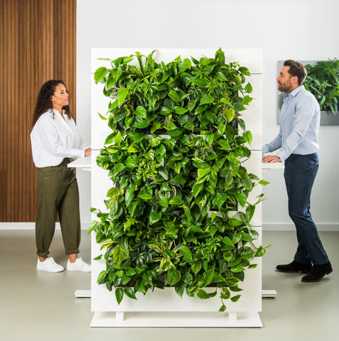 Living Wall Divider - 180.5cm - White