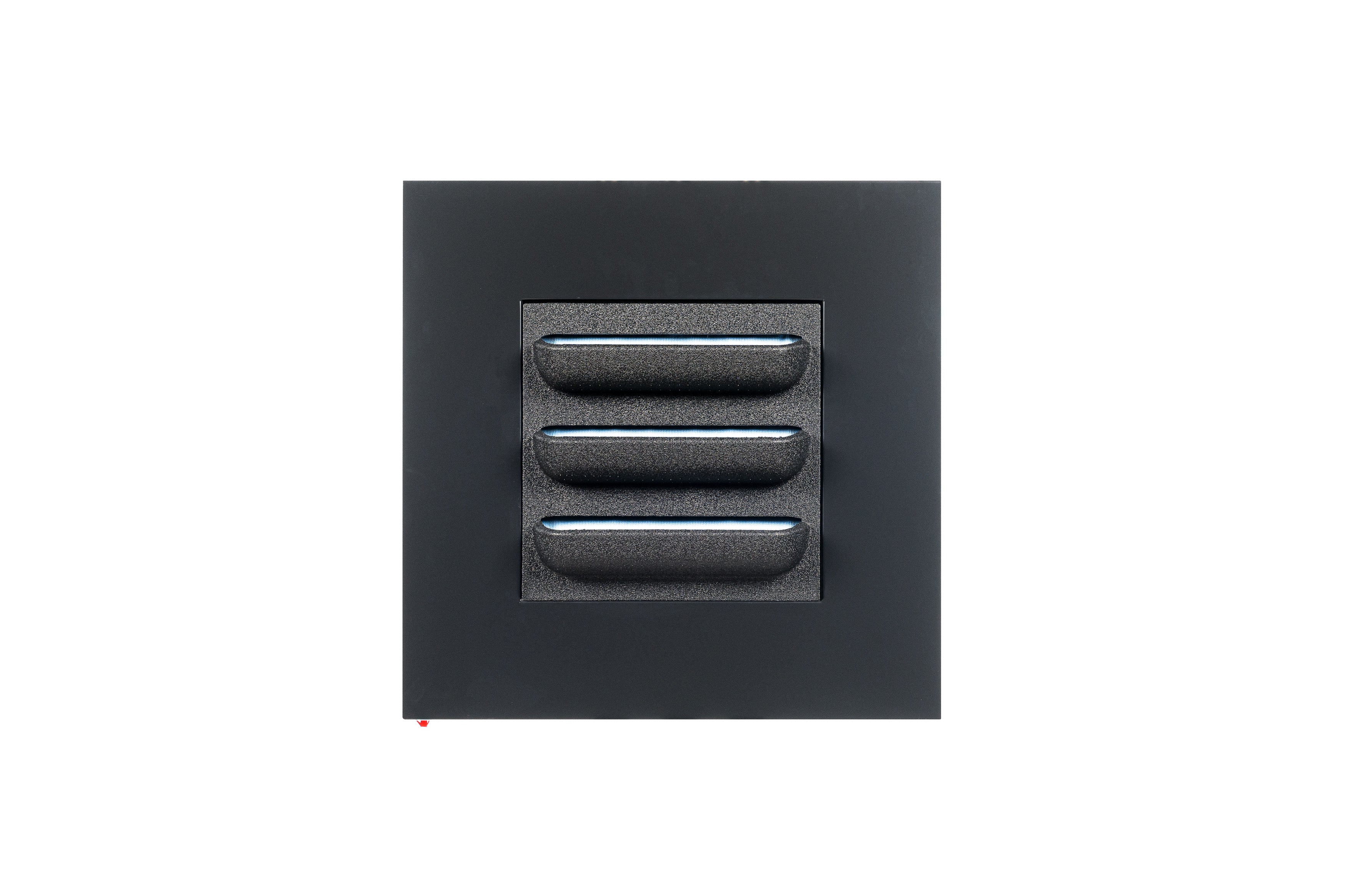 LIVE PICTURE - Living wall frame - 72cm - Black