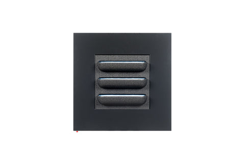 LIVE PICTURE - Living wall frame - 72cm - Black