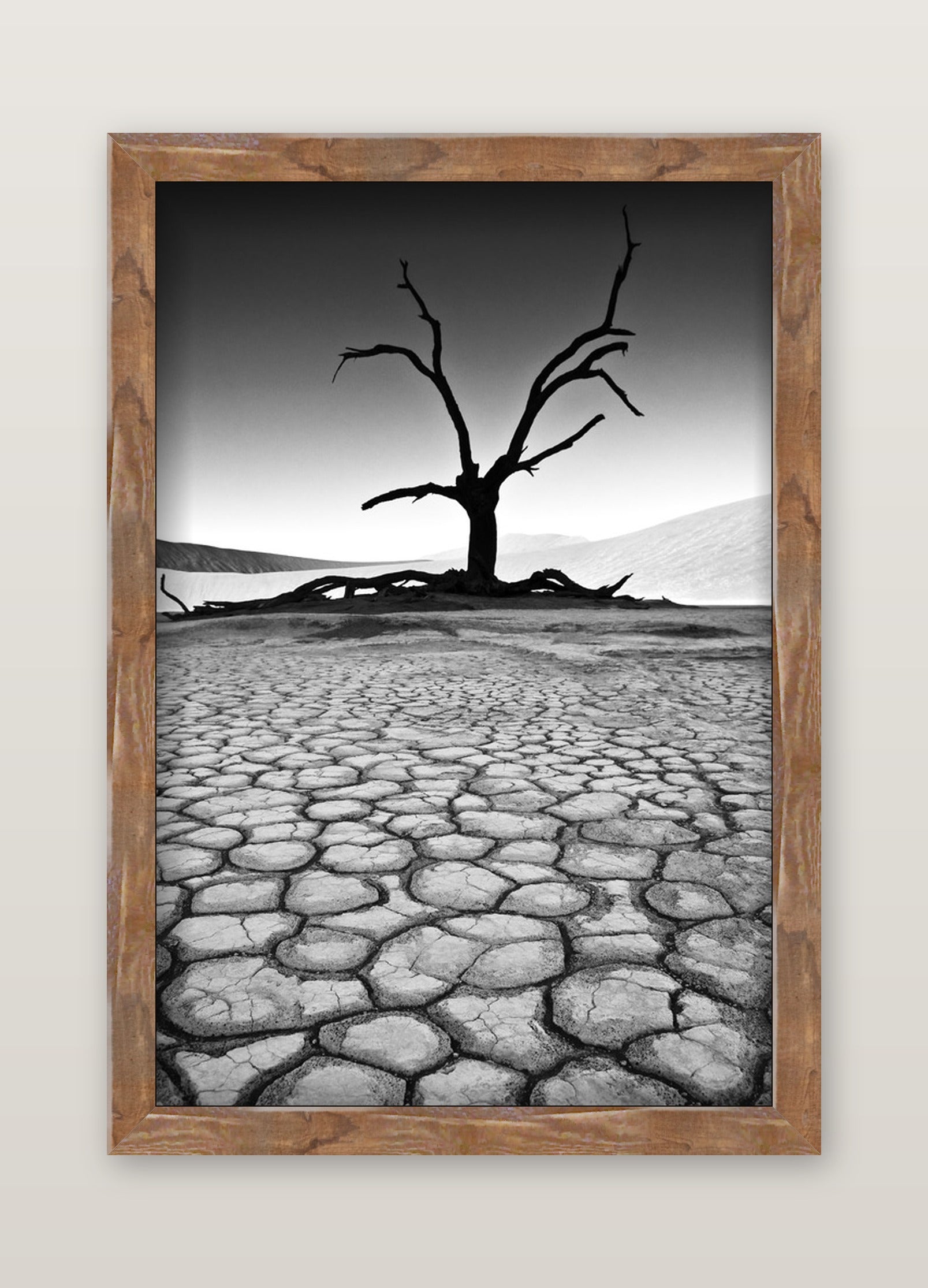 David Ballam - Namibia 03