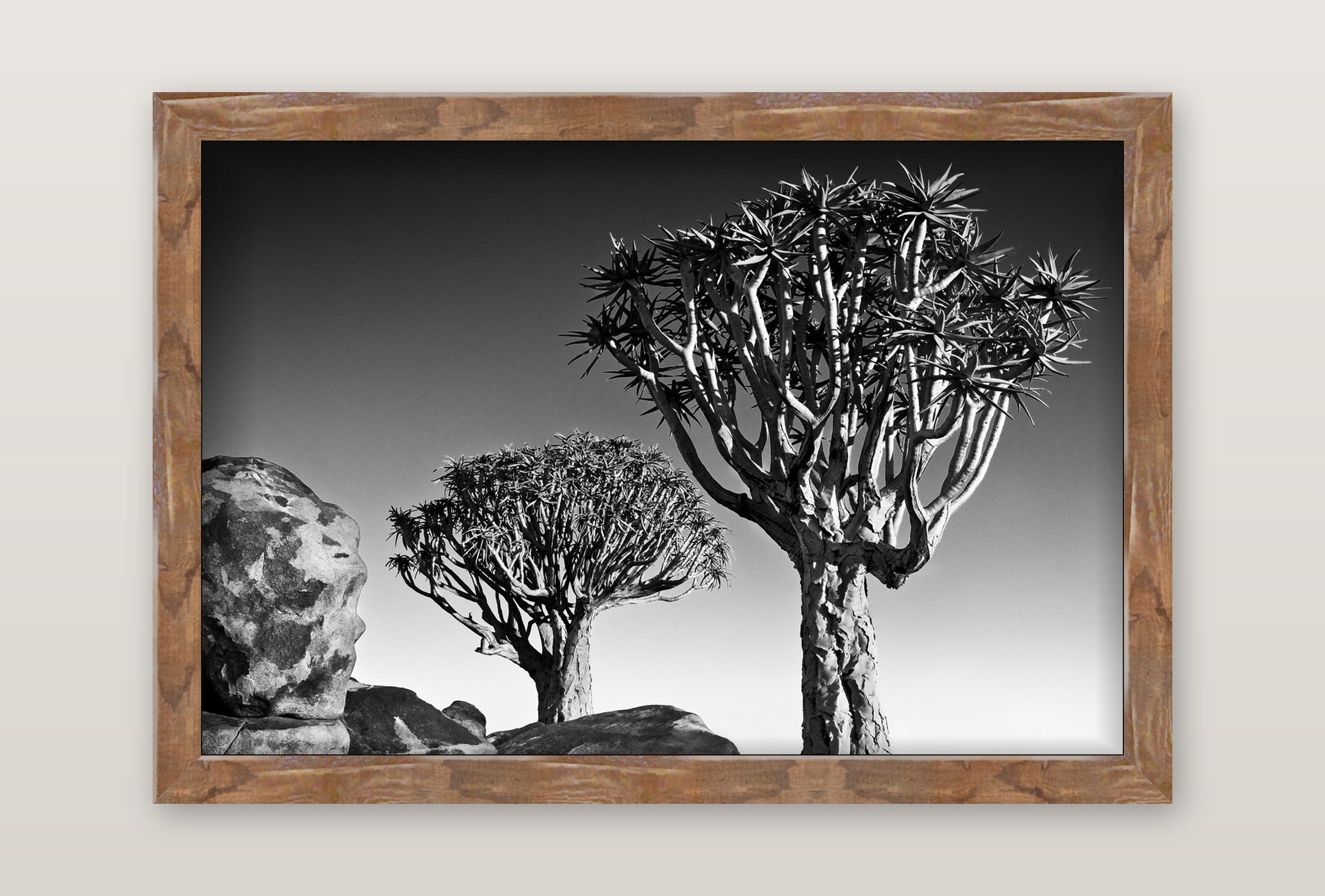 David Ballam - Namibia 17