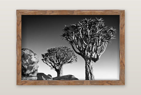 David Ballam - Namibia 17