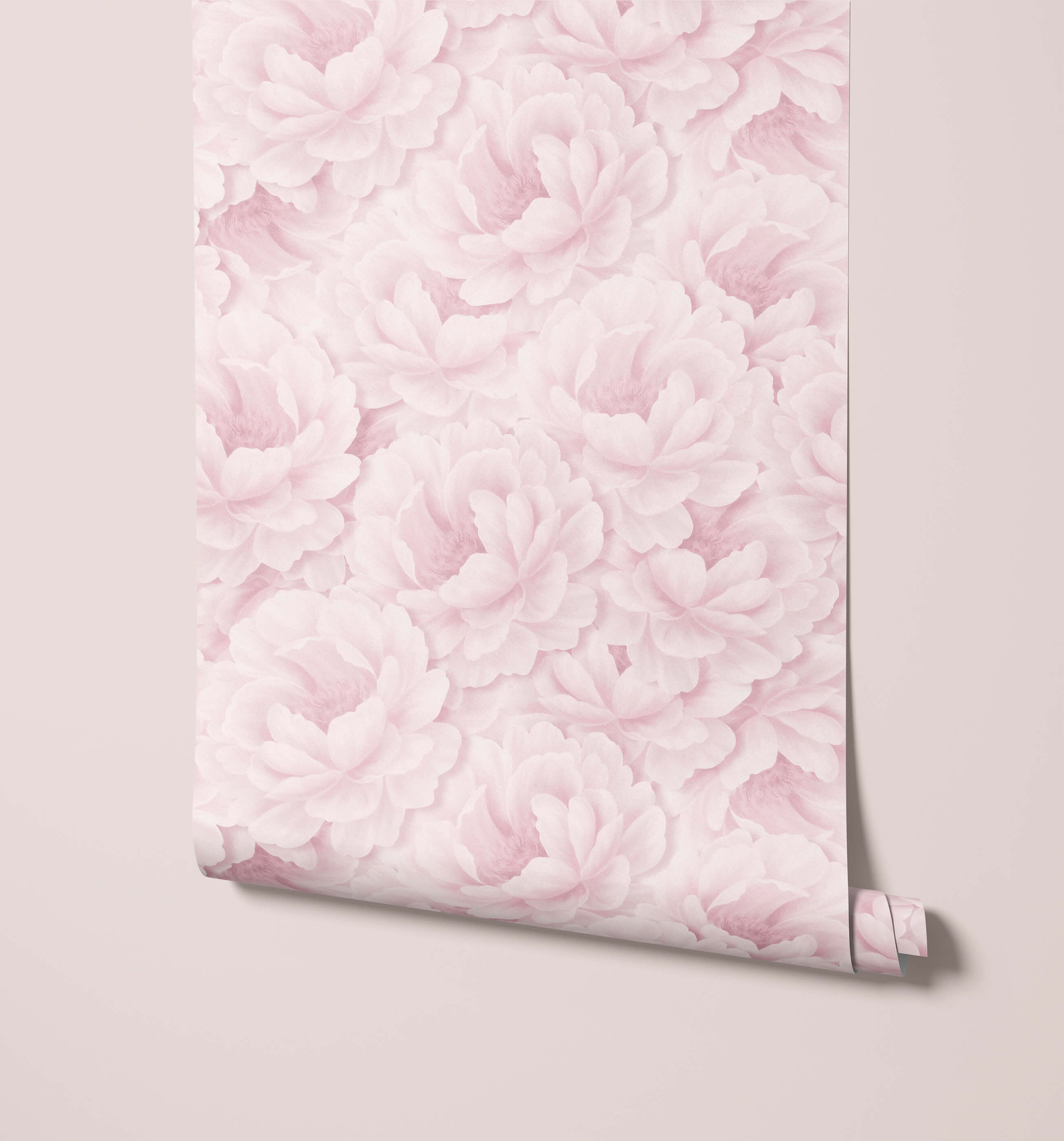 Paeonia