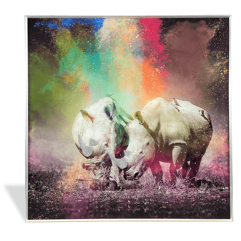 Colourful Companions