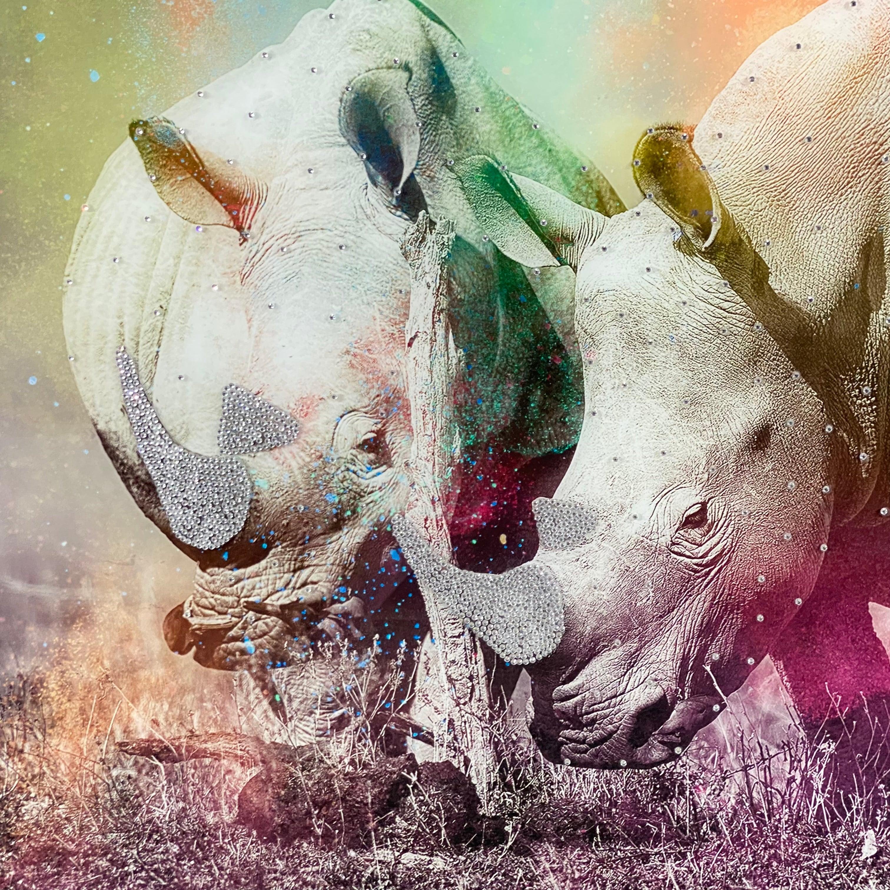 Colourful Companions